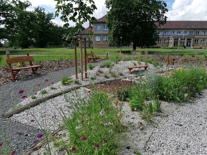Základní škola v Horšovském Týně je obklopena školní zahradou, jejíž část prošla rozsáhlou revitalizací přírodním projektem Učíme se venku.