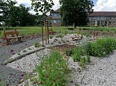 Základní škola v Horšovském Týně je obklopena školní zahradou, jejíž část prošla rozsáhlou revitalizací přírodním projektem Učíme se venku.