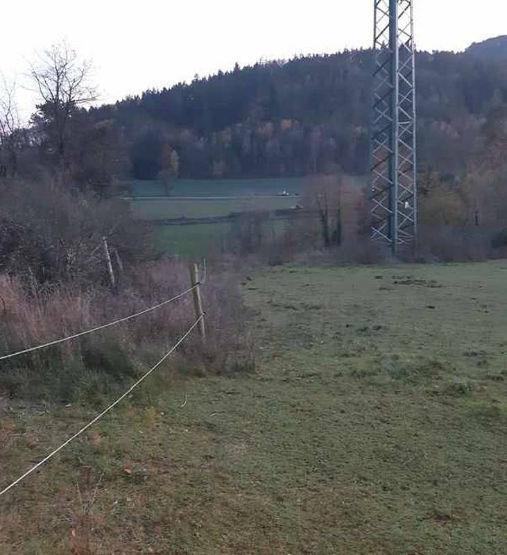 Střet vlaku se stádem koní na Domažlicku.