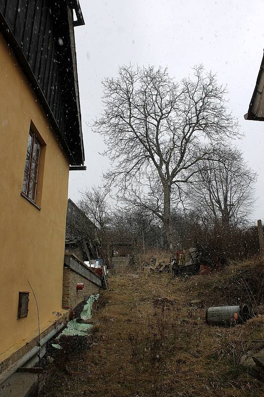 Obecní dům č. p. 127 potřebuje opravu. Uvnitř vznikne kavárna, přesídlí sem knihovna.