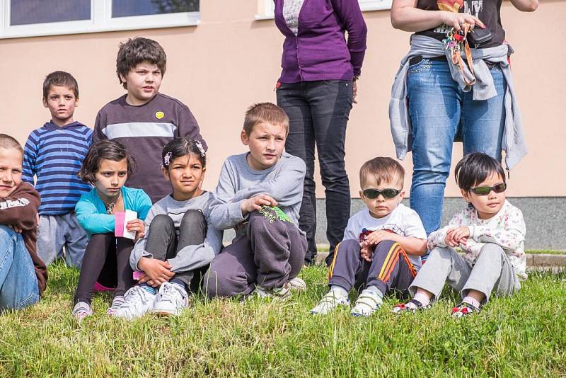 Strom přání v ZŠ Praktické v Domažlicích.