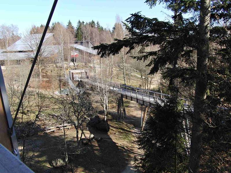 Stezka nad stromy (Baumwipfelpfad). 