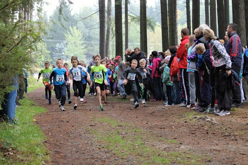 Fotoreportáž z 49. ročníku Běhu babylonskými lesy.