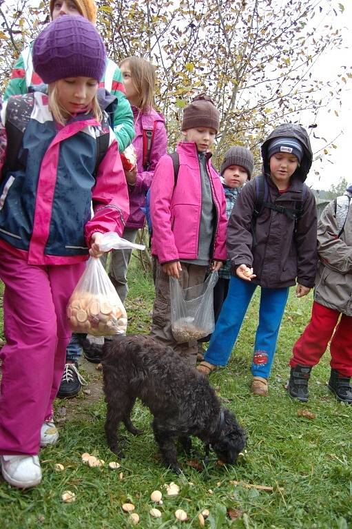 Děti na návštěvě záchytné stanice pro psy na Valše.