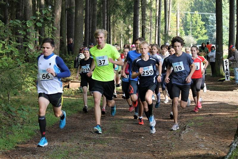 Fotoreportáž z 49. ročníku Běhu babylonskými lesy.