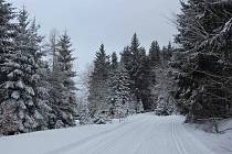 Ochlazení a nový sníh. Kombinace, kterou lyžaři milují, zaručila ideální podmínky pro běžkování v Caparticích i pod Čerchovem.