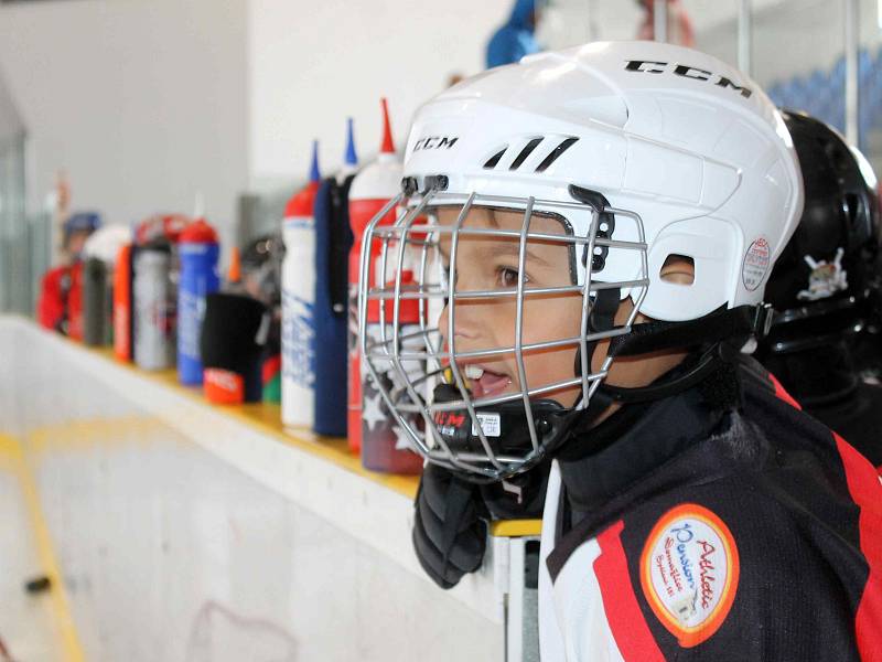 HC Domažlice pořádal za účasti extraligového hokejisty Plzně Jakuba Lva Den náborů.