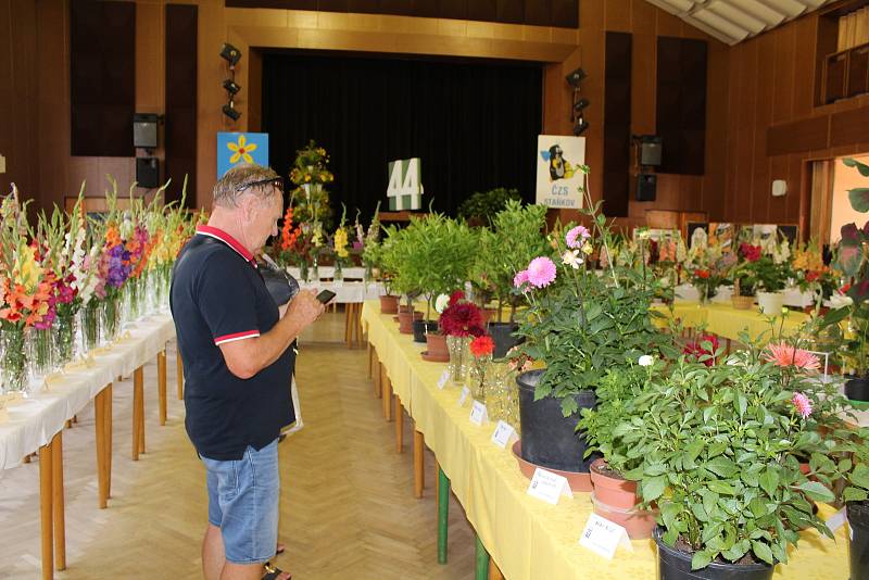 44. ročník letní výstavy květin ve Staňkově.