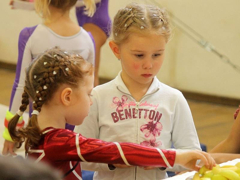 Cena Chodska ve sportovní gymnastice v Domažlicích. 