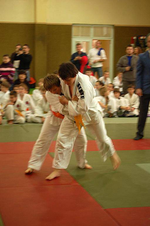 Fotoreportáž z 18. ročníku Memoriálu Ing. Petra Radoše v judu v Domažlicích.