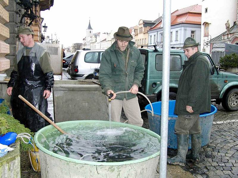 Radek Halada, který jako odborník pomáhá Domažlickým městským lesů s chovem ryb, nám předvedl, jak lze z kapra udělat filety bez kostí.