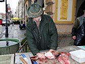 Radek Halada, který jako odborník pomáhá Domažlickým městským lesů s chovem ryb, nám předvedl, jak lze z kapra udělat filety bez kostí.