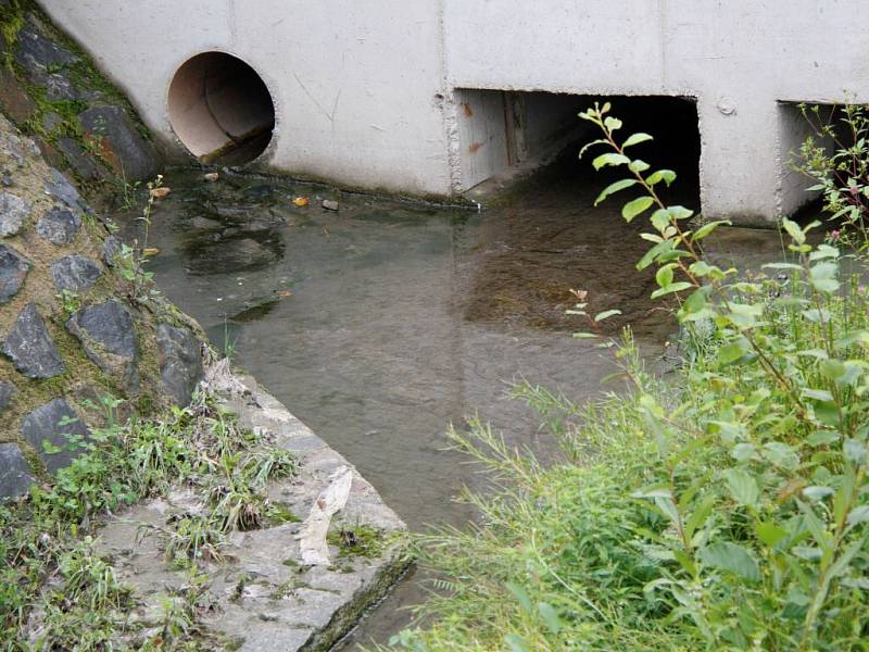 Zbytky splašků i kus toaletního papíru zůstávají ležet v suché části žlabu (na snímku vlevo dole).