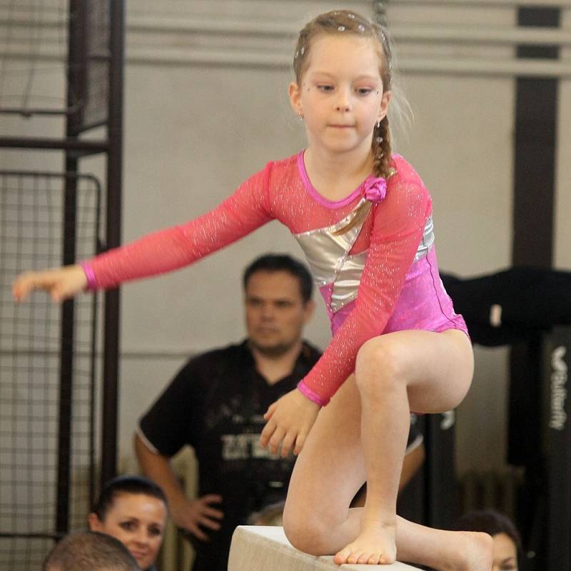 Cena Chodska ve sportovní gymnastice v Domažlicích. 