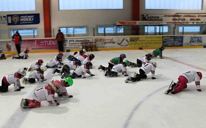 HC Domažlice spolu s hokejovým svazem pořádal náborovou a prezentační akci Pojď hrát hokej!