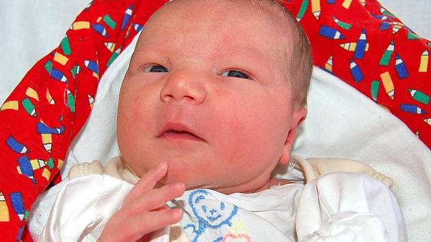 NATÁLKA Pitelová ze Sušice se v Domažlické nemocnici narodila ve čtvrtek 15. ledna v 10.15 hodin. Maminka Lenka a tatínek Richard byli u jejího narození spolu. Natálka vážila 2,72 kg a měřila 49 cm.