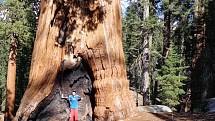 Jakub v Národním parku Sequoia.