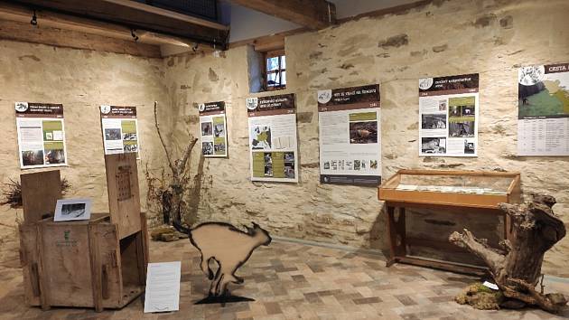 Výstava bude k vidění v klenečském Domě přírody Českého lesa od 11. ledna do 31. března 2022.