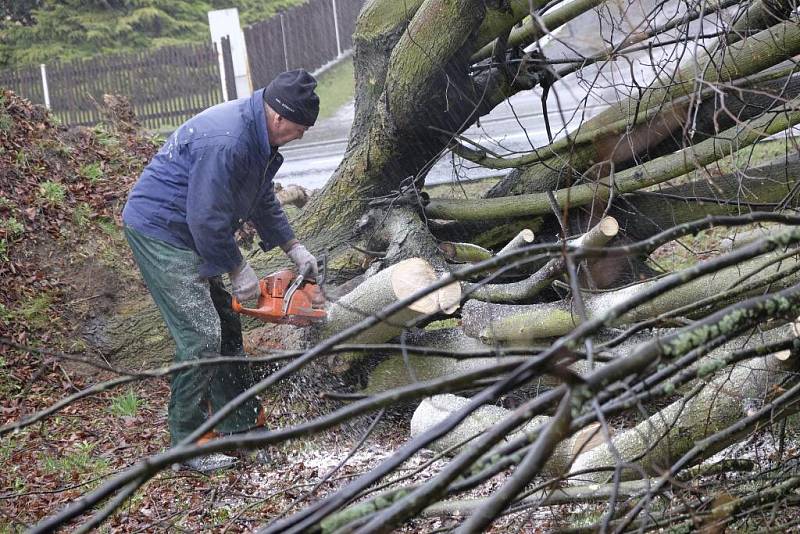 Následky silného větru v Plzeňském kraji v minulosti. V Hluboké u Kdyně vítr vyvracel stromy.