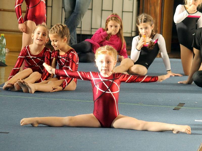 Cena Chodska ve sportovní gymnastice v Domažlicích. 