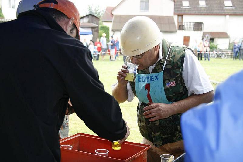 Terra cup 2010 v Radonicích.