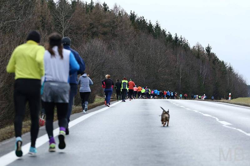 Osvědčená dvojice Vladimír Sýkora a čtyřnohý miláček Kulička poutá pozornost nejen na Tachovsku, ale i Chodsku. Foto: Bendovi.