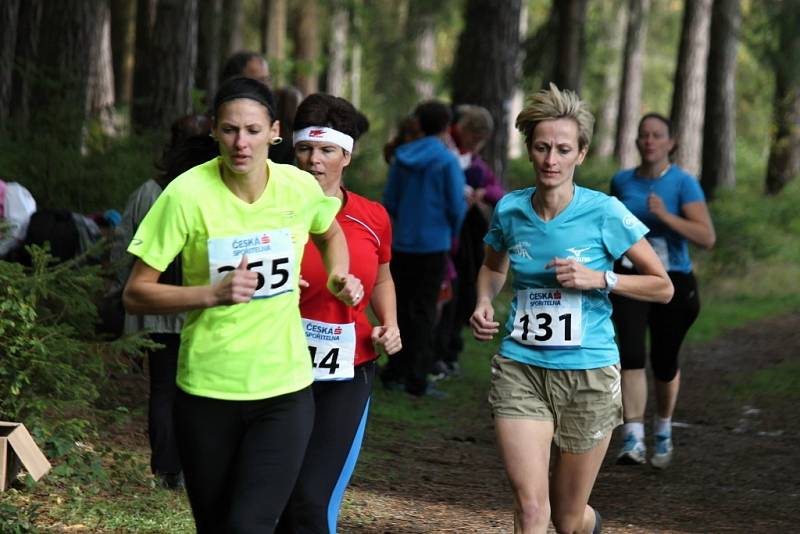 Fotoreportáž z 49. ročníku Běhu babylonskými lesy.