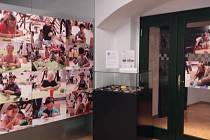 Sociálně terapeutické dílny sv. Josefa v Domažlicích a Meclově pořádají výstavu fotografií klienta domažlických dílen Nicka Wolfa.
