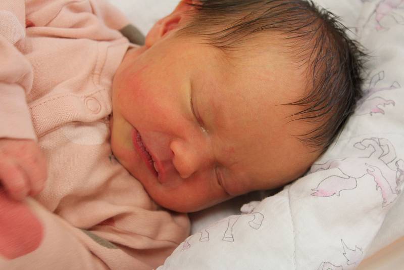 Ella Velkoborská z Přeštic (2940 g, 49 cm) přišla na svět 20. května v 8:24 hodin v klatovské porodnici. Pohlaví miminka si rodiče Anna a Petr nechali jako překvapení na porodní sál. Doma se na sestřičku těší Petr (2).
