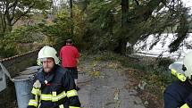 Důsledky silného větru řešili i dobrovolní hasiči z Chocomyšle a Únějovice. V Únějovicích spadla zlomená vrba na zeď bývalého mlýna a zablokovala cestu.