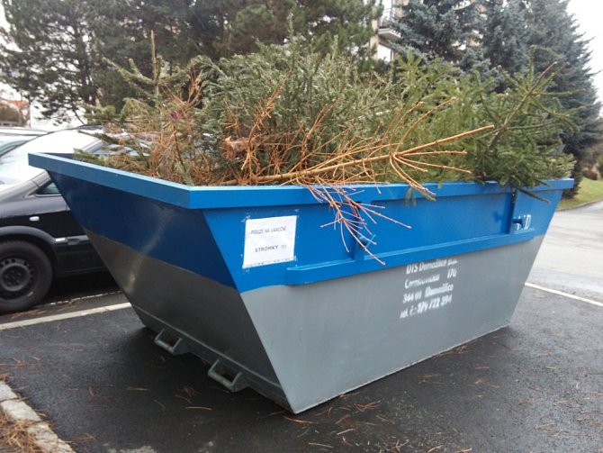 Do kontejnerů lidé mohou odhazovat pouze vánoční stromky.
