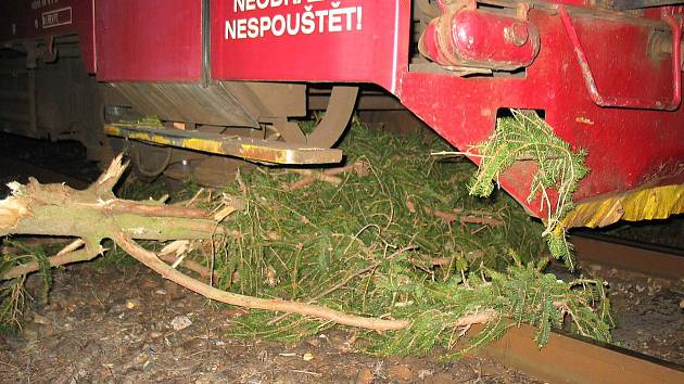 Večerní vlak naboural do dvou stromů.