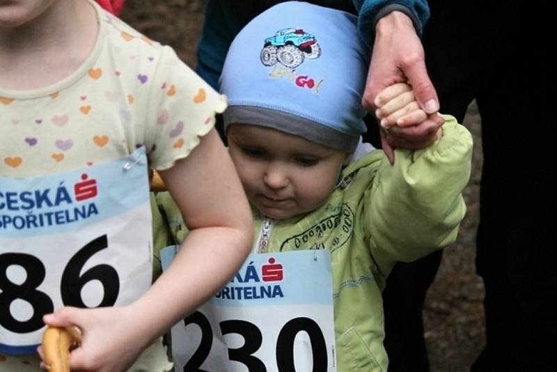 Fotoreportáž z 49. ročníku Běhu babylonskými lesy.