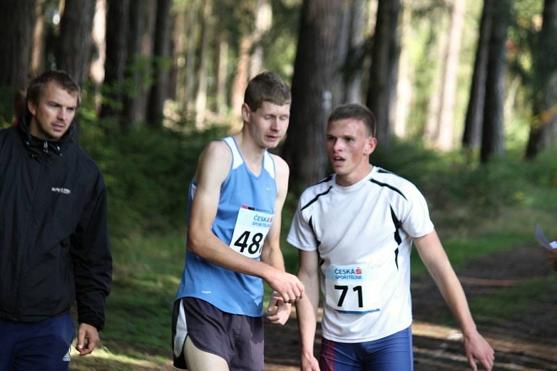 Fotoreportáž z 49. ročníku Běhu babylonskými lesy.