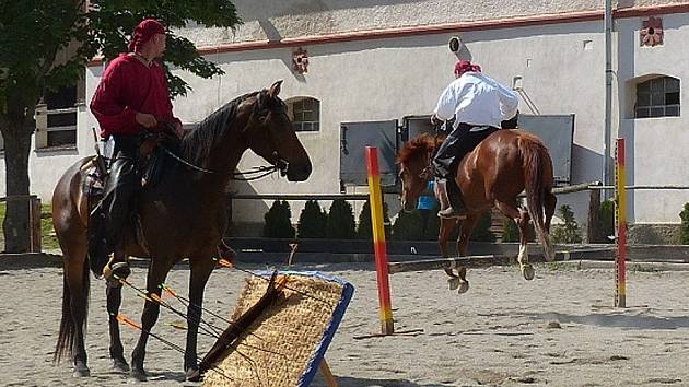 Z Country show ve Svržně. Štěpán při skoku přes překážku. Jeho ryzka, na níž jezdí bez sedla, v té chvíli jako by létala.