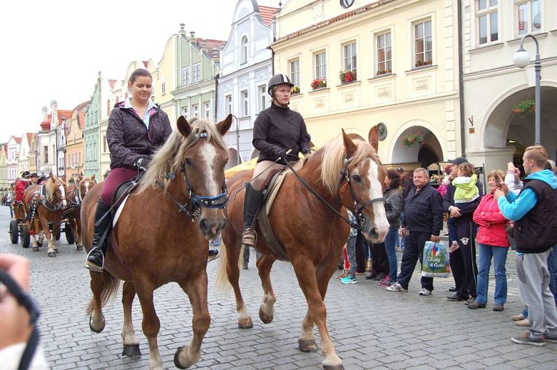 Svatováclavská jízda v Domažlicích.