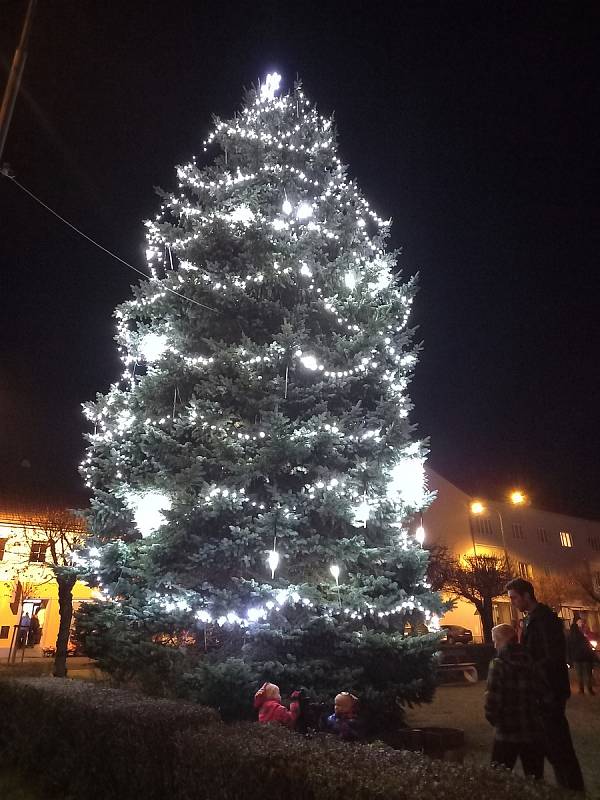 Vánoční strom ve Kdyni.