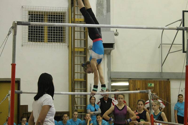 Na sokolské akademii se představila sportovní gymnastika, taneční skupiny, ale i muži z TJ Sokol Přeštice se skladbou z 19. století.