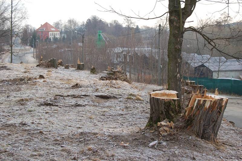 Východní část poběžovického zámeckého parku prochází obnovou.