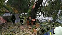 Důsledky silného větru řešili i dobrovolní hasiči z Chocomyšle a Únějovice. V Únějovicích spadla zlomená vrba na zeď bývalého mlýna a zablokovala cestu.