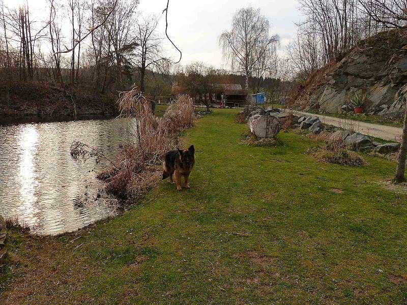 Z jarního Lomečku a narozeninového ponoru členů OSAC Plzeň.