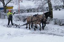 Prohrnování sněhu pluhem taženým koňmi.