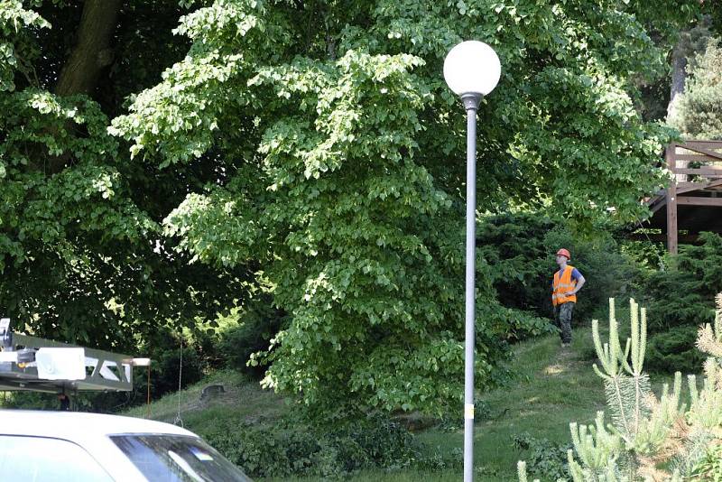 Arboristé ošetřili Kozinovu lípu.