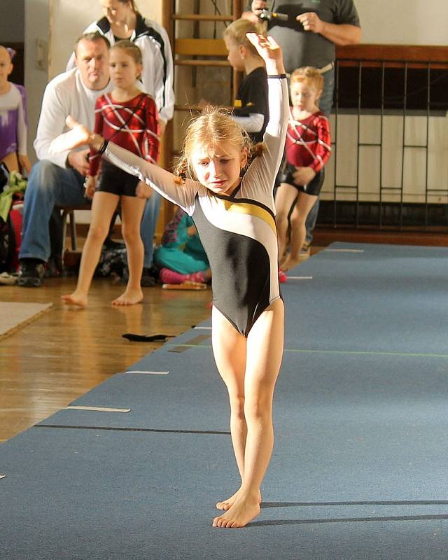 Cena Chodska ve sportovní gymnastice v Domažlicích. 