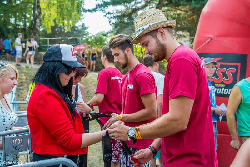 Chodrockfest 2015 v Domažlicích.