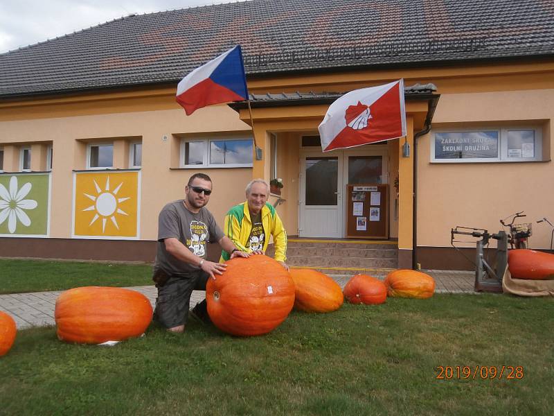 Převoz dýní do 320 km vzdáleného Jakubova.