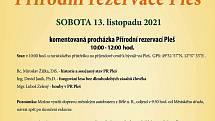 Přírodní rezervaci Pleš je 90 let, chystají se oslavy, vycházka i přednášky