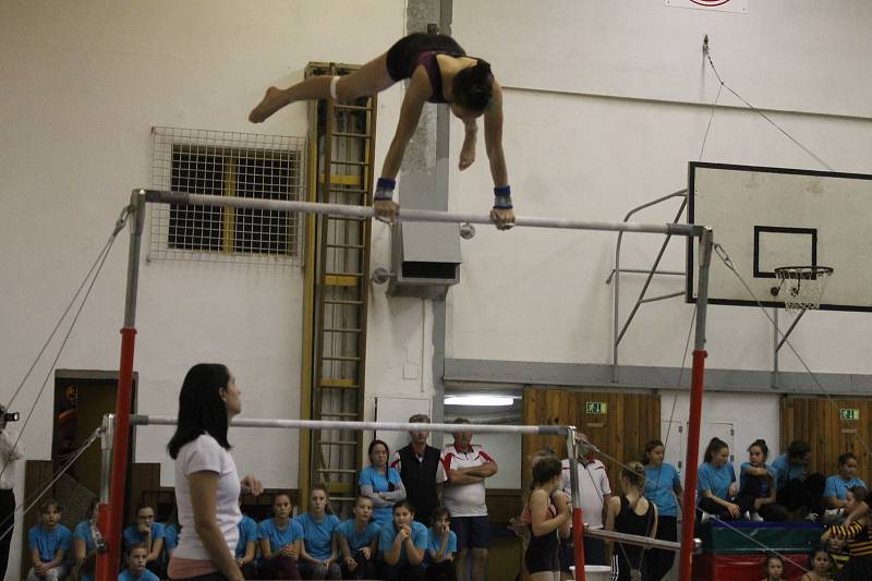 Na sokolské akademii se představila sportovní gymnastika, taneční skupiny, ale i muži z TJ Sokol Přeštice se skladbou z 19. století.