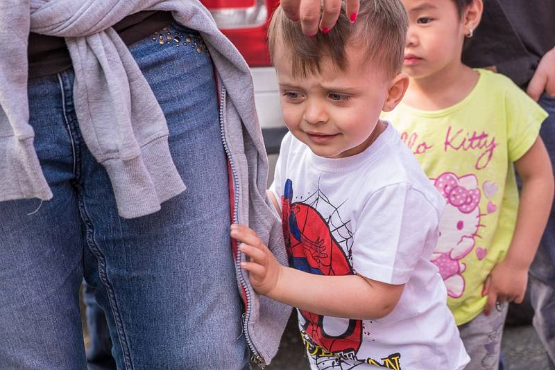 Strom přání v ZŠ Praktické v Domažlicích.