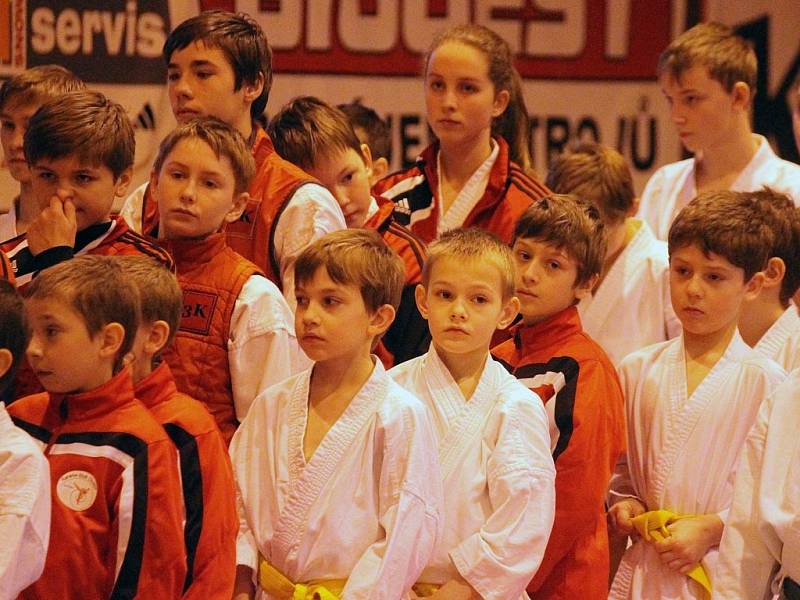 Chodský pohár v karate. Ze slavnostního nástupu.